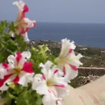 Macondo Lampedusa