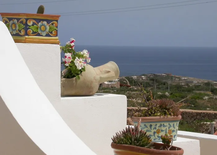 Macondo למפדוזה